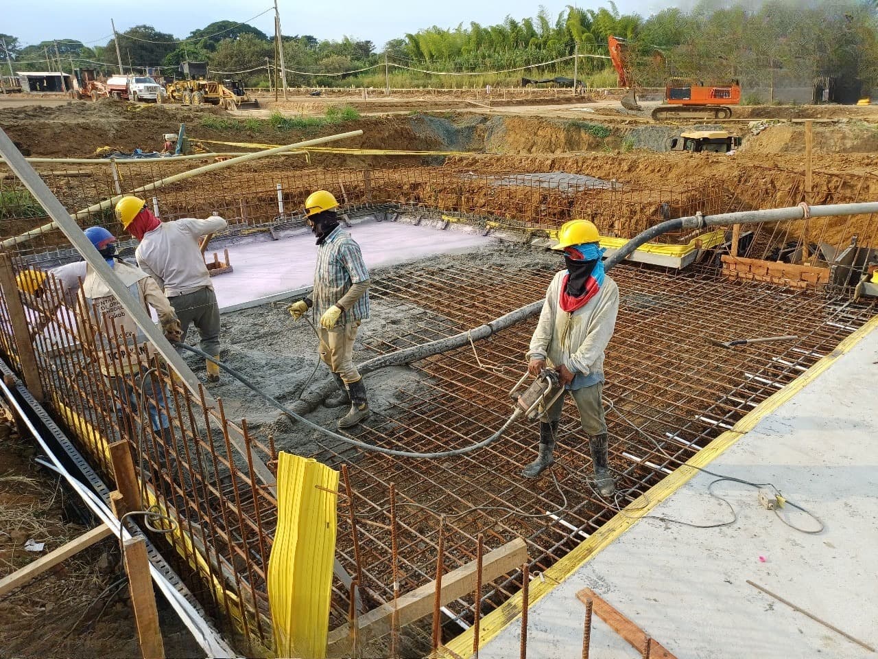 Proyecto Tangara